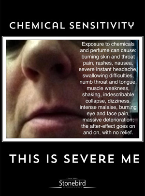 a poster listing the many symptoms of chemical sensitivity in Severe ME
