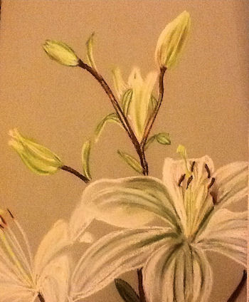 a pastel painting of a lilly
