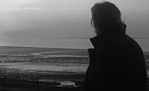 a picture of a man looking out over a bleak landscape